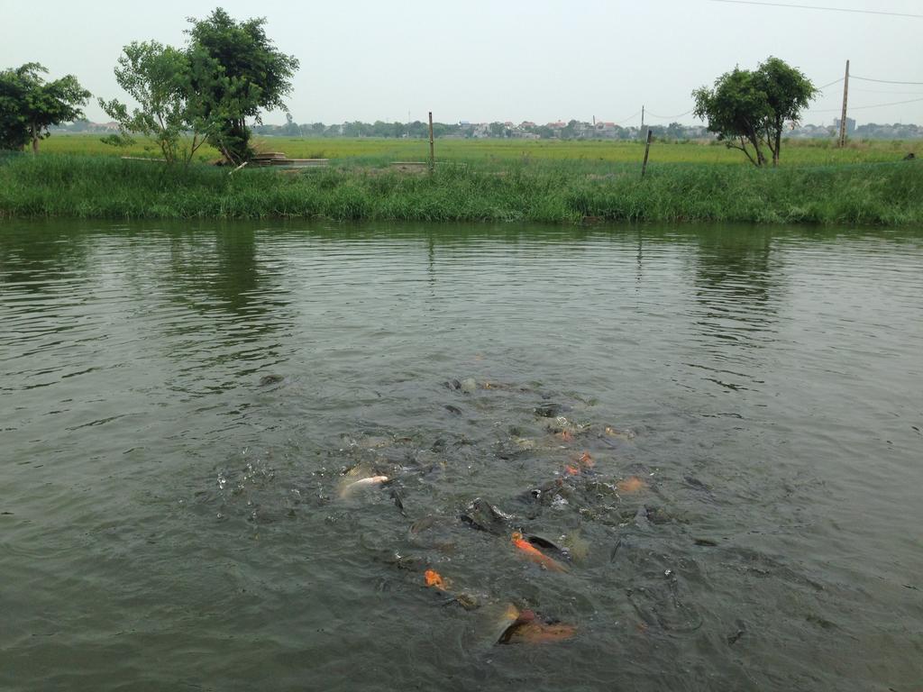 Tam Coc Homestay 닌빈 외부 사진