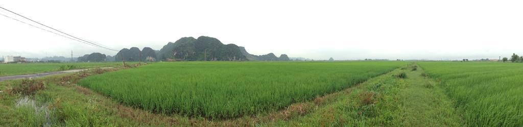 Tam Coc Homestay 닌빈 외부 사진