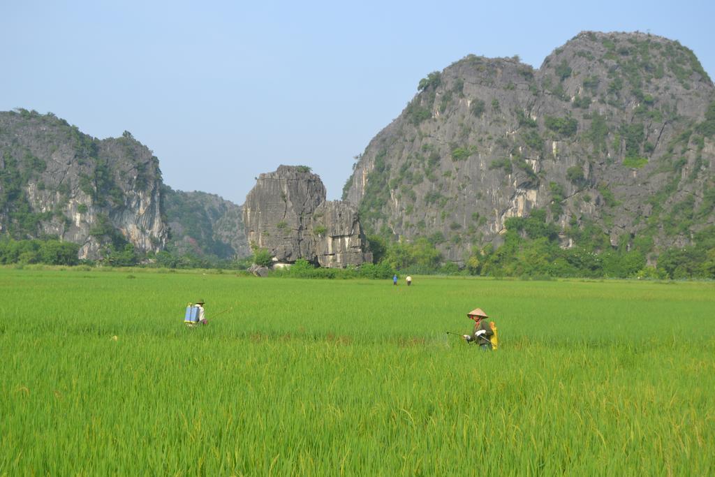 Tam Coc Homestay 닌빈 외부 사진